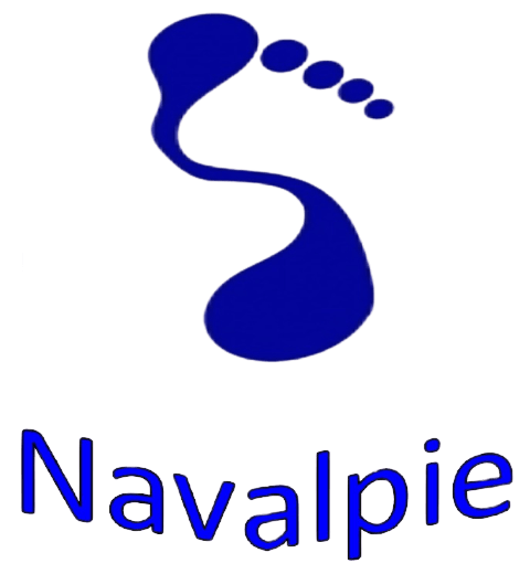 Logo Navalpie